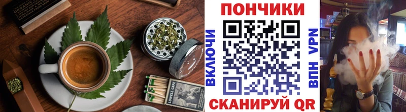 Cannafood марихуана  блэк спрут вход  Сольцы 