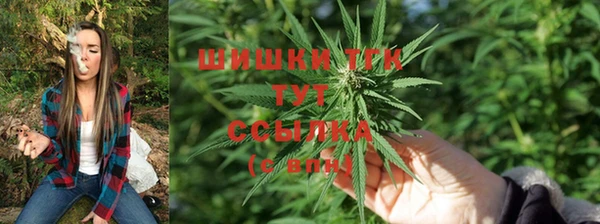 каннабис Беломорск