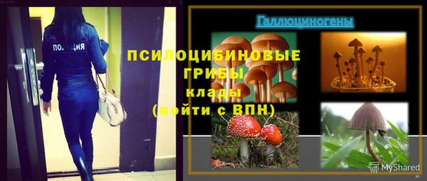 амф Покачи