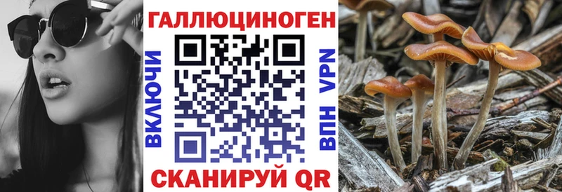 Галлюциногенные грибы Magic Shrooms  магазин продажи   маркетплейс состав  Сольцы 